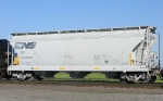 NS 244233